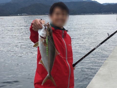 49k7axhok96hfobprhok_480_480-23ee90af.jpg