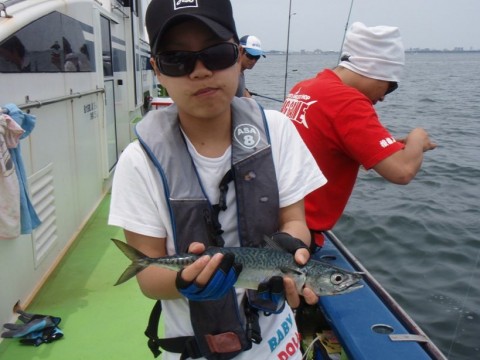 49n62a2xfhh958ymf2xb_480_480-1428598c.jpg