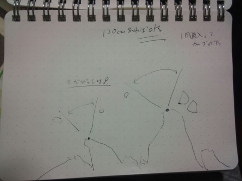 49tn9cszdyt455235d8t_920_690-db6305ff.jpg