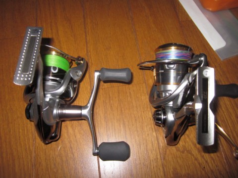 49xfoecwsxobyywn2468_480_480-5c069029.jpg