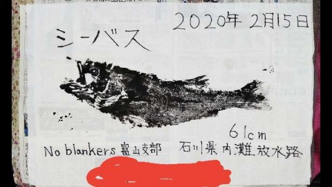 49xyiu45po3u7i6meat6_480_480-43c77f67.jpg