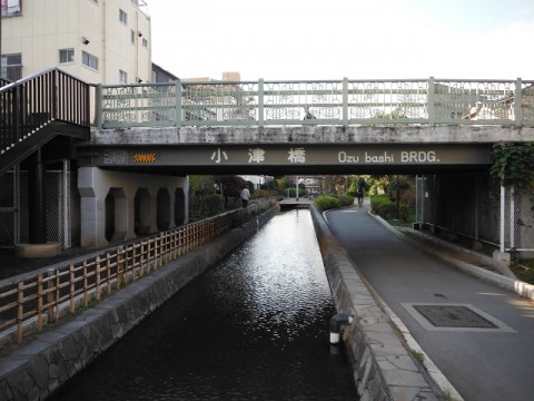 4aaifv36mv48fvfm6dn3_480_480-7b4ba221.jpg