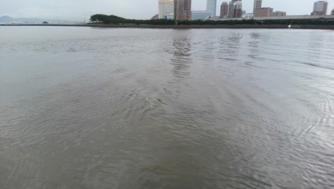 4actp5fvjebkznggoanw_480_480-e179fce8.jpg