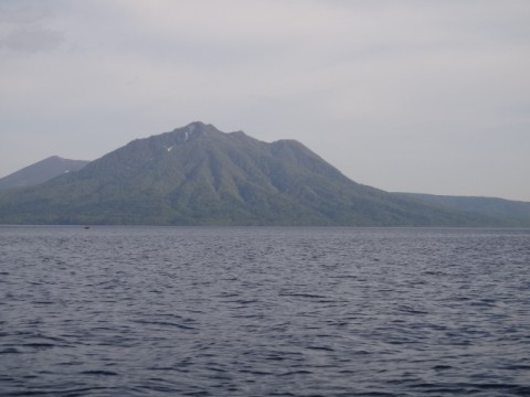 4aewpmwubjyeuy4t6ta5_480_480-83b47eb8.jpg