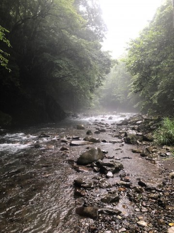 4an8uukma67ff7fhubn7_480_480-d716209a.jpg