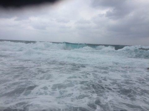 4b4y26dn76u8y2fdvnrw_480_480-4629807e.jpg