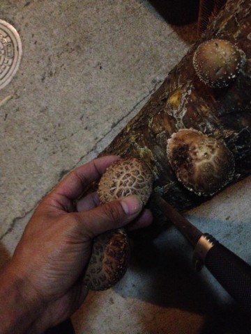 4brjkcct2gwiyvyz3cxj_690_920-cafd7648.jpg
