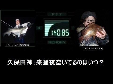 4bsvi7kwfusw5sef4t3f_480_480-27bf561a.jpg