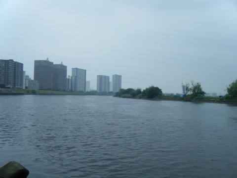 4cfe67u8x4c344yjkbpc_480_480-79ce2619.jpg