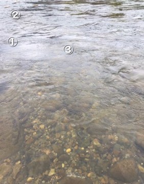 4cjrj9fjyzf3v85gm3g8_376_480-61792c66.jpg