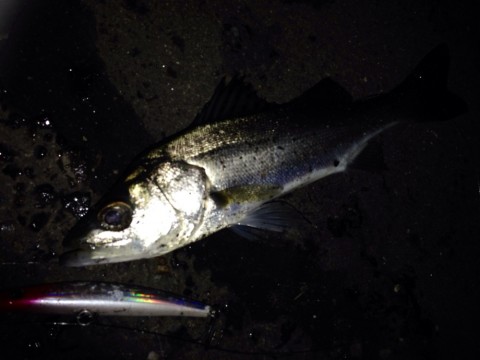 4cswonkuwkh29frc75xb_920_690-020798eb.jpg