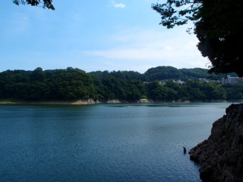 4d49adhktwzs94hoa49n_480_480-ad773bda.jpg