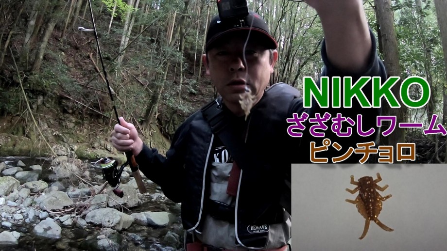 釣人 Cho Zin Nikkoざざむしワームピンチョロのキャロライナリグで山女魚を釣る