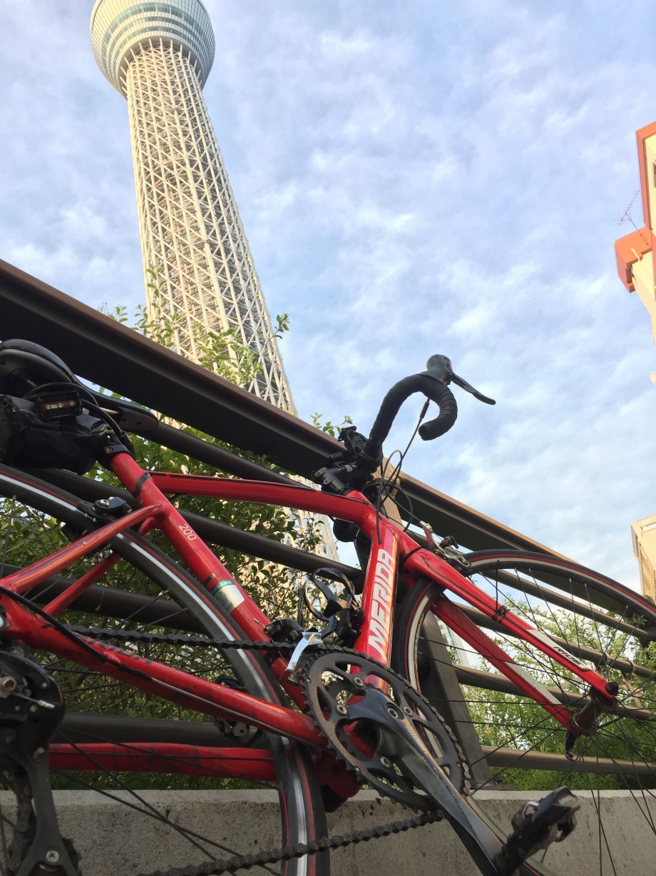 東京湾奥の学生アングラー】 自転車釣行ならコレだu203c
