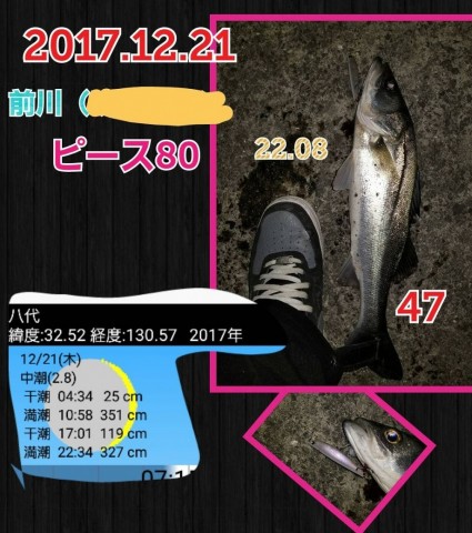 4dotei46rrbwc8yopr5n_480_480-53bd240a.jpg