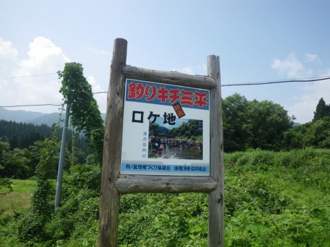 4du7vg23v4wv9nb9yf3j_480_480-f8db542c.jpg