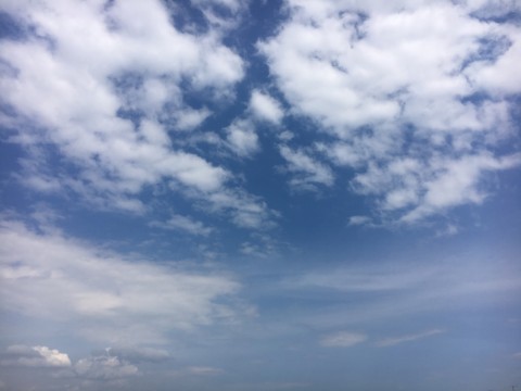 4dvuh49a9mxw6bwzbjgg_920_690-4016e050.jpg