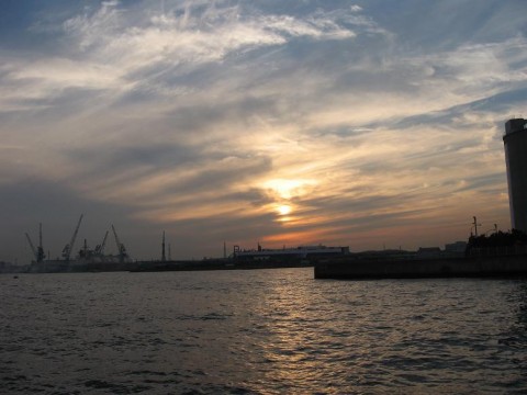 4eCQojOMUNp25DnBVSD2_480_480-376c266e.jpg