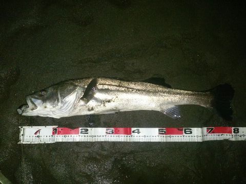 4eh5b6zucahuxhyevo4u-363acbc6.jpg