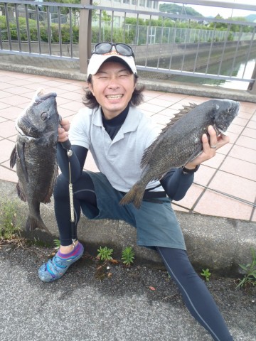 4eio44k4cdjsw45sdj8e_480_480-88bc313f.jpg