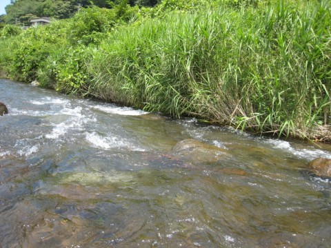 4enhmrtainbmk28usp6a_480_480-a09be025.jpg