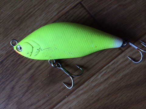 4f45dnspjcj62zhrgdfs_920_690-d1244351.jpg