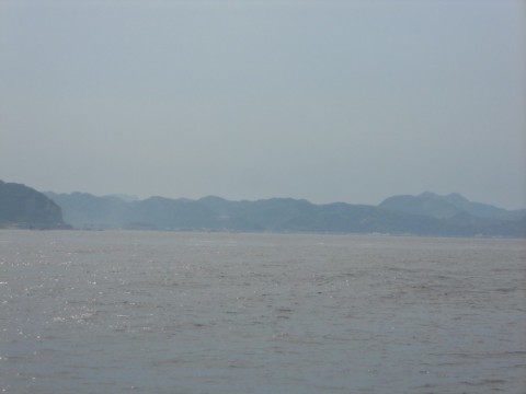 4f8pgu9wkaocy9xer7j8_480_480-17dbce31.jpg
