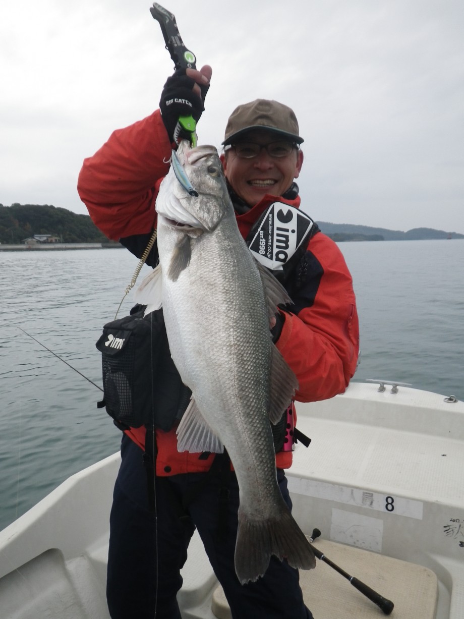 Hinokuni Fisher サヨリのちコノシロのち またかよ w Hinokuni Fisher サヨリのちコノシロのち またかよ w
