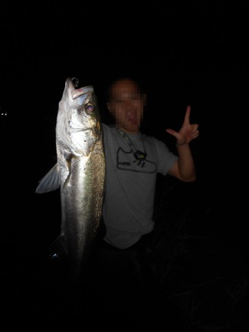 4fbgs2bx2rzj9hgz4t2x_480_480-610926c9.jpg