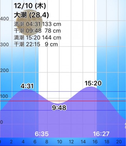 4fd4oypa9e45xiun9i36_791_920-c5a3afca.jpg