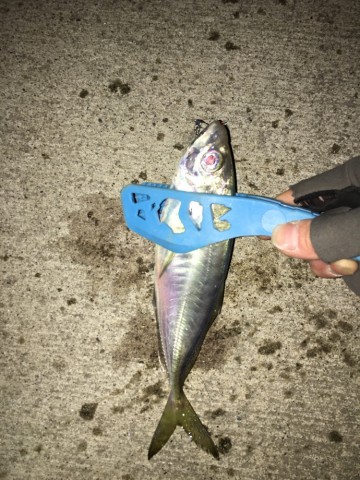 4fmoor6evdfj6fjf4im8_690_920-1e15fb71.jpg