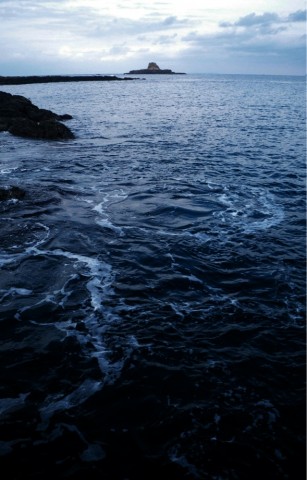 4fw7yst3fb5nhb9hhnad_589_920-4fff49eb.jpg