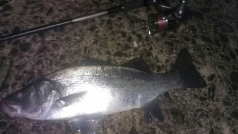 4g5vinjm6apukuagmiw8_920_518-46f57645.jpg