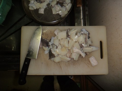 4g9n9mb6xjsfocbbkfod_480_480-ed4449f8.jpg
