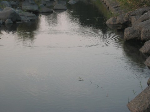 4g9oxov7pfovmhguyvto_480_480-943b0655.jpg