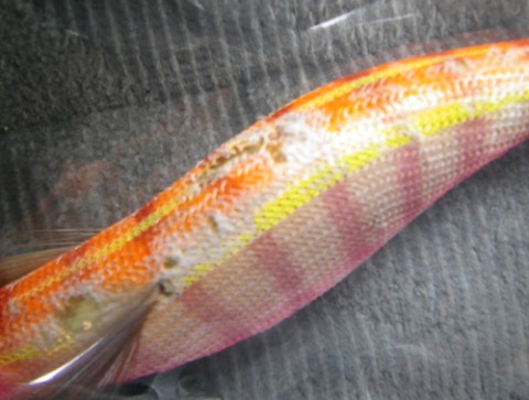 4giPfjrnrRDKRUVKJCbm_480_480-15e7795f.jpg