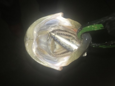 4gnkwxu9o2z939b8gx5x_480_360-5dff5bb8.jpg