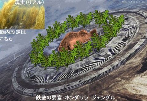 4gpr6szs4dx87h27mcci_480_480-d3c7f066.jpg