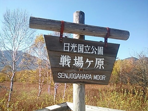 4guocxhzomdpsef9439f_640_480-dbeba55a.jpg
