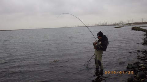 4hpwgi8yt5k5fy3gceet_480_480-d17275ab.jpg