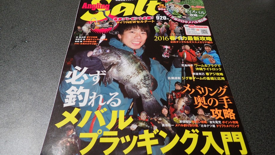ｓａｌｔ ｉｍａ 日中のロックフィッシュ
