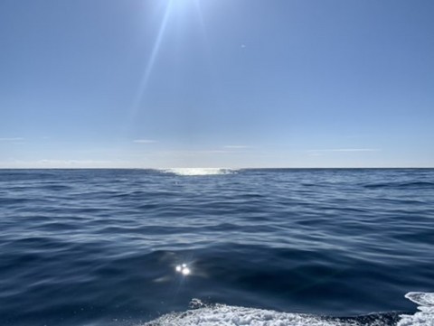 4hwbzkshzof4hvzfyku3_480_361-4036bb94.jpg