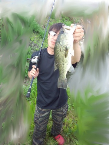 4i6kg6efo3ds74vsfb4p_480_480-d63fdc3f.jpg