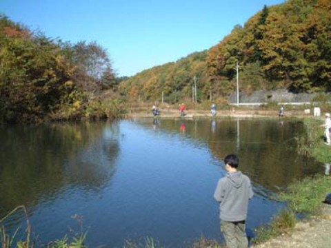 4io2xionfk8szohw39nw_920_690-6587479e.jpg