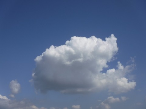 4jddcxb5o7wkgi49j64g_480_480-da9aee71.jpg