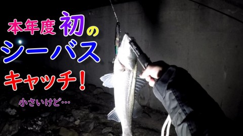 4jkzh54mizga3n3aiycy_480_480-a08a449f.jpg