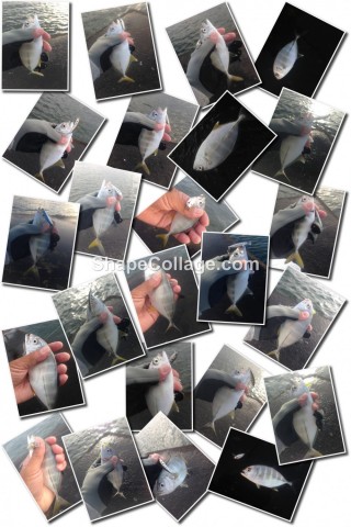 4jok6je5geyb2zxat7vu_480_480-19650256.jpg