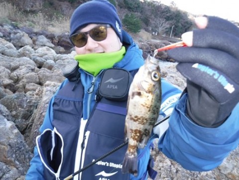 4jx97iuongfvvypcu5wj_480_361-54d83567.jpg