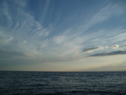 4k2nbze4h9tm44jo5r46_480_480-9ad28243.jpg