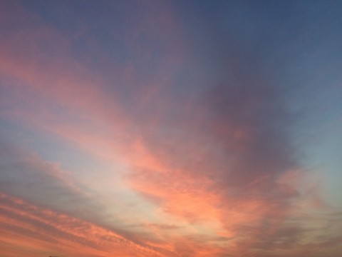 4k4kketffmt7nj7rr4cw_480_480-058d0ce1.jpg